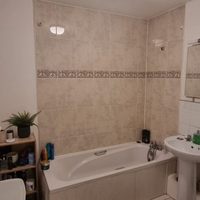 img 20250113 wa0004